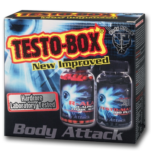 Body Attack - Testo-Box